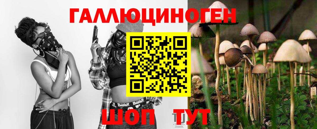 Шелехов  Псилоцибиновые грибы мицелий  Галлюциногенные грибы Psilocybe  Вход с VPN 